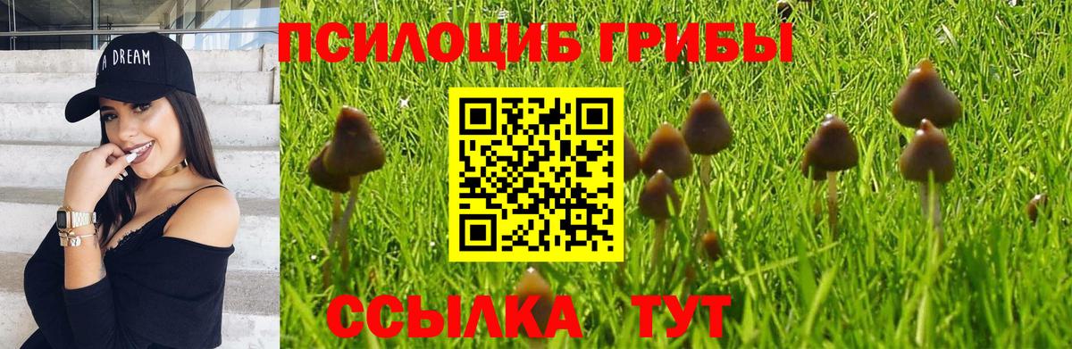 Псилоцибиновые грибы Magic Shrooms  Вход с VPN  Кызыл 