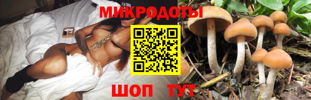Псилоцибиновые грибы ЛСД Кызыл